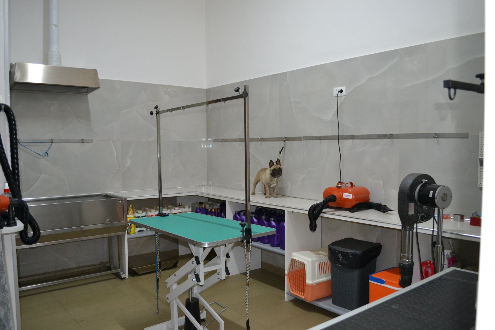 tavolo di toelettatura