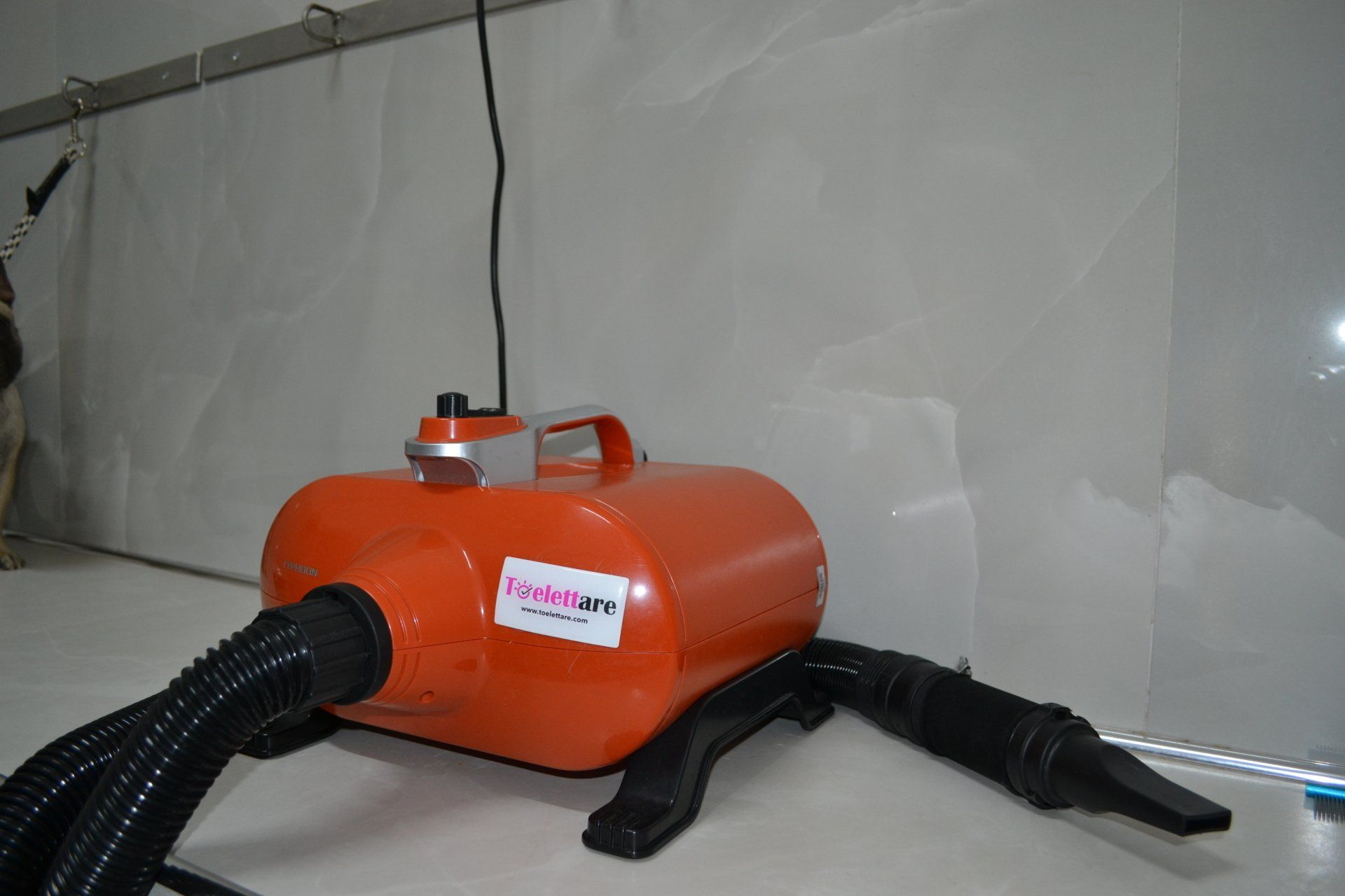 asciugatore professionale per animali