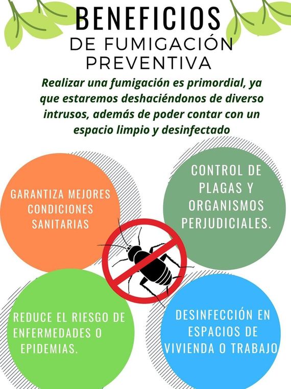 FUMIGACIONES CARBAJAL