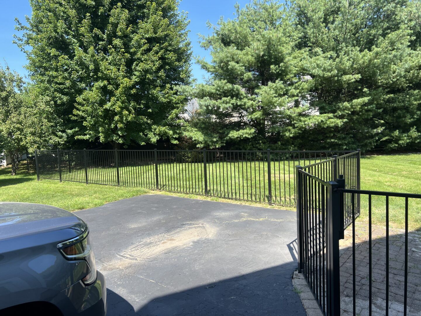 A black metal fence separates a paved driveway from a grassy backyard with lush green trees under a clear blue sky.