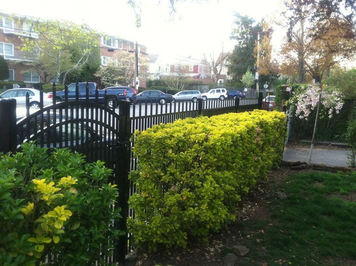 A white picket fence spans a green yard with trees and bushes, with vibrant pink flowers in the immediate foreground.