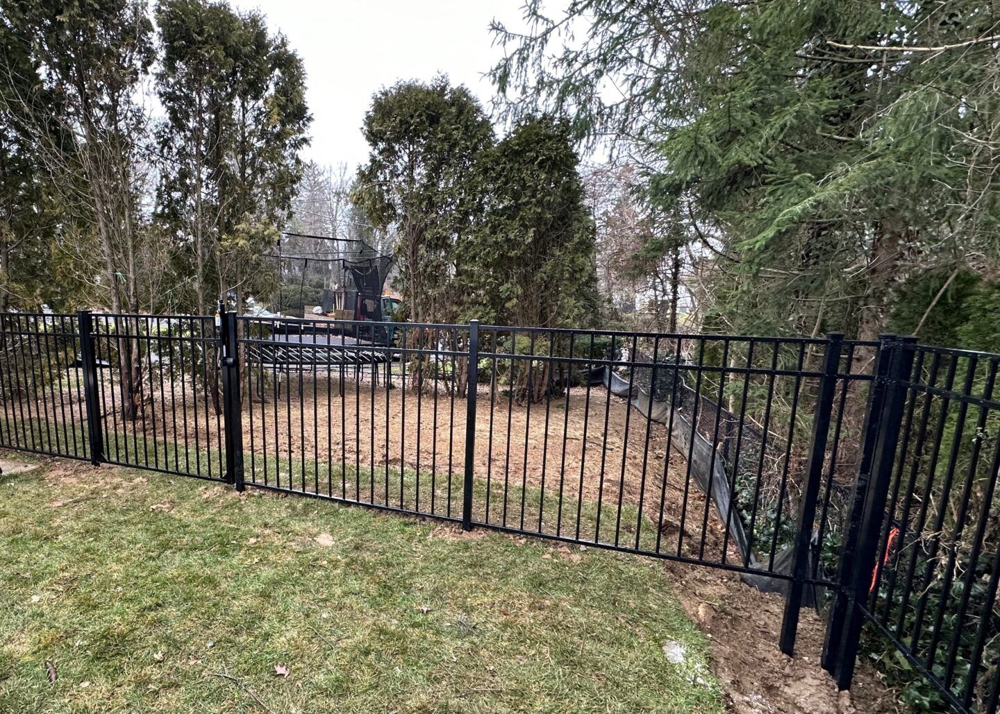 A solid tan privacy fence panels a paved driveway with a small puddle, set against a backdrop of green trees.