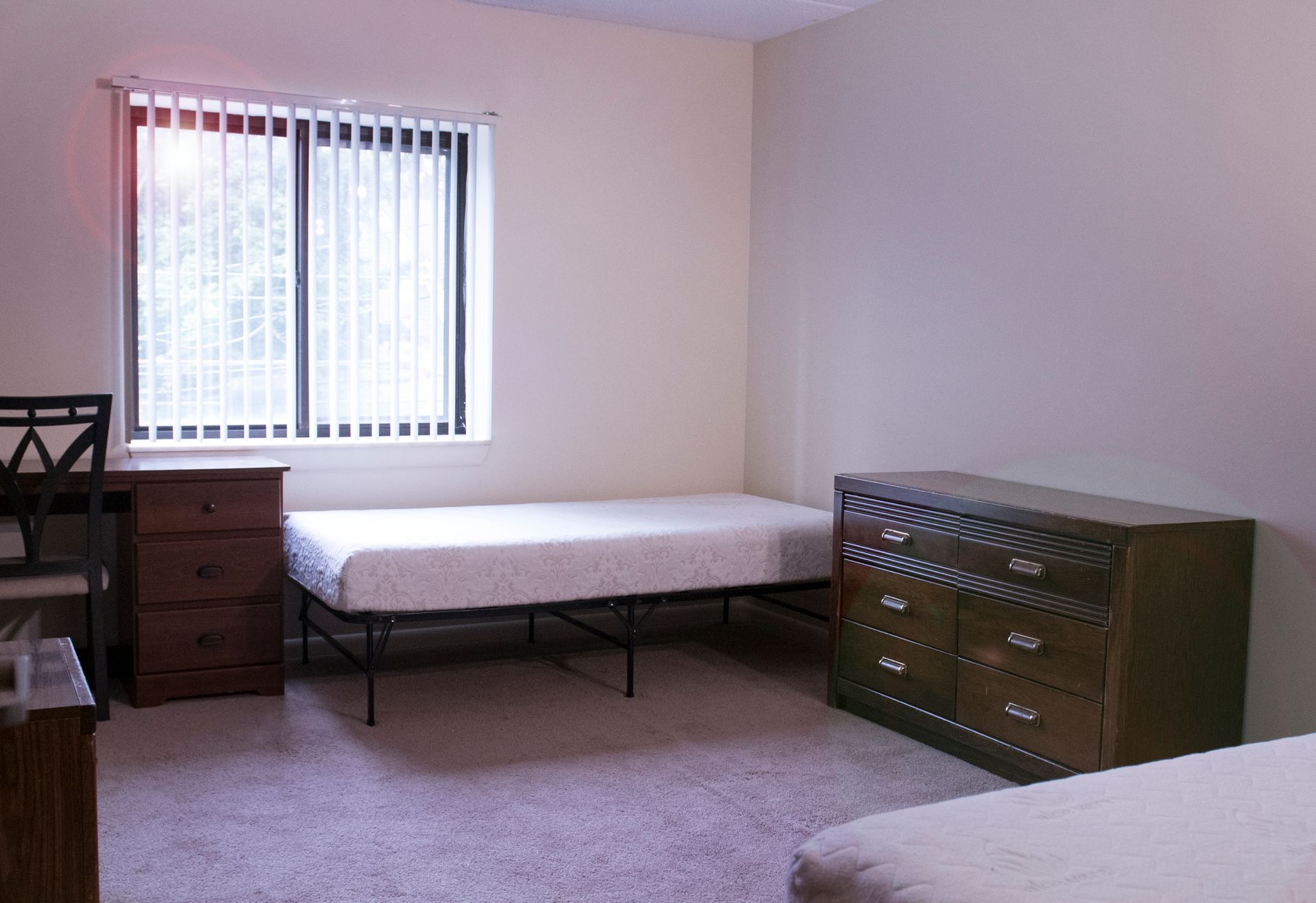 203 East Fairmount windows