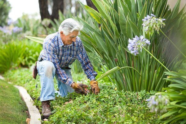 An elderly couple gardening.