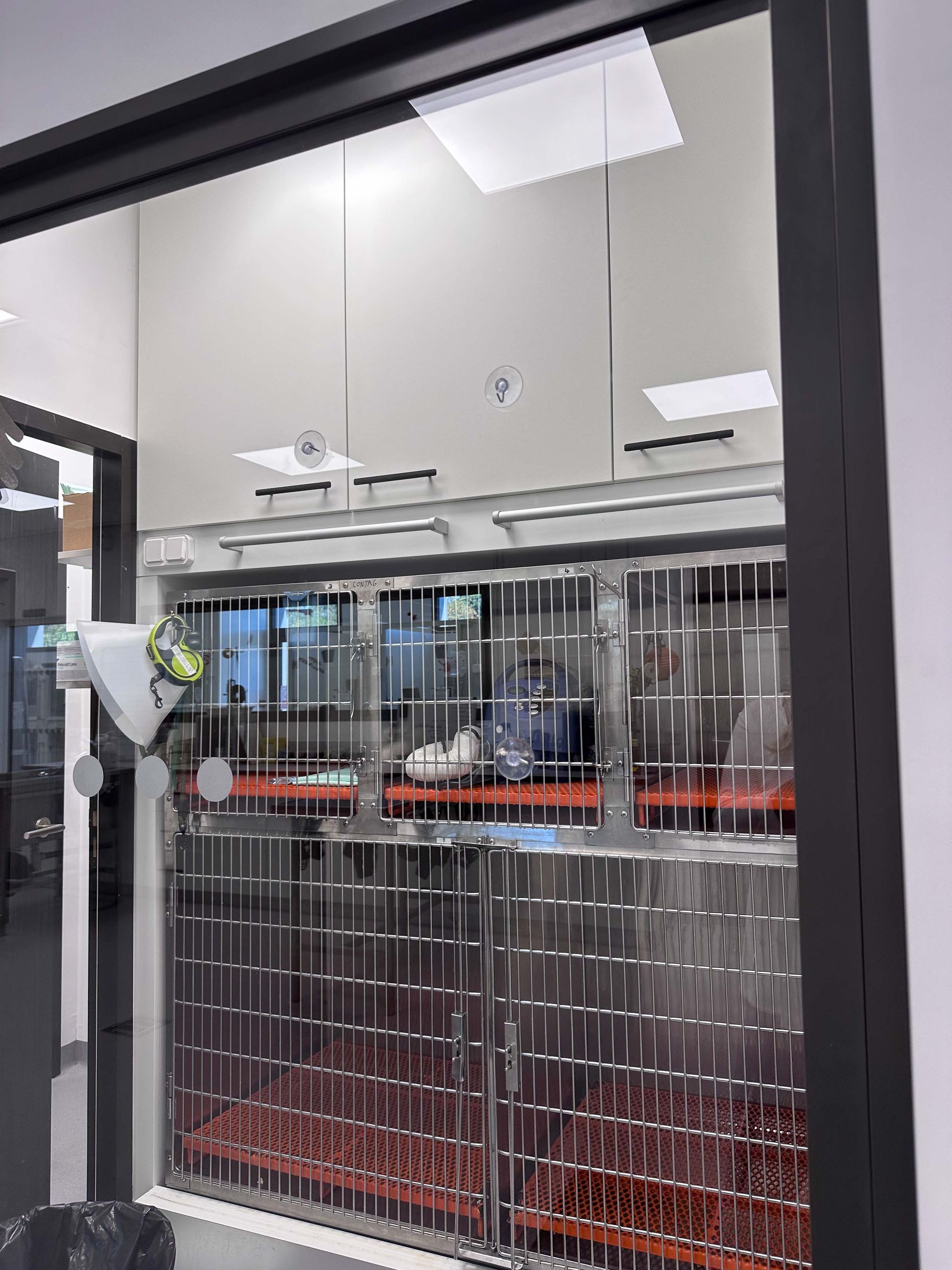 Une rangée de cages métalliques pour animaux à l'intérieur d'une pièce aux parois de verre, avec de la litière rouge visible.