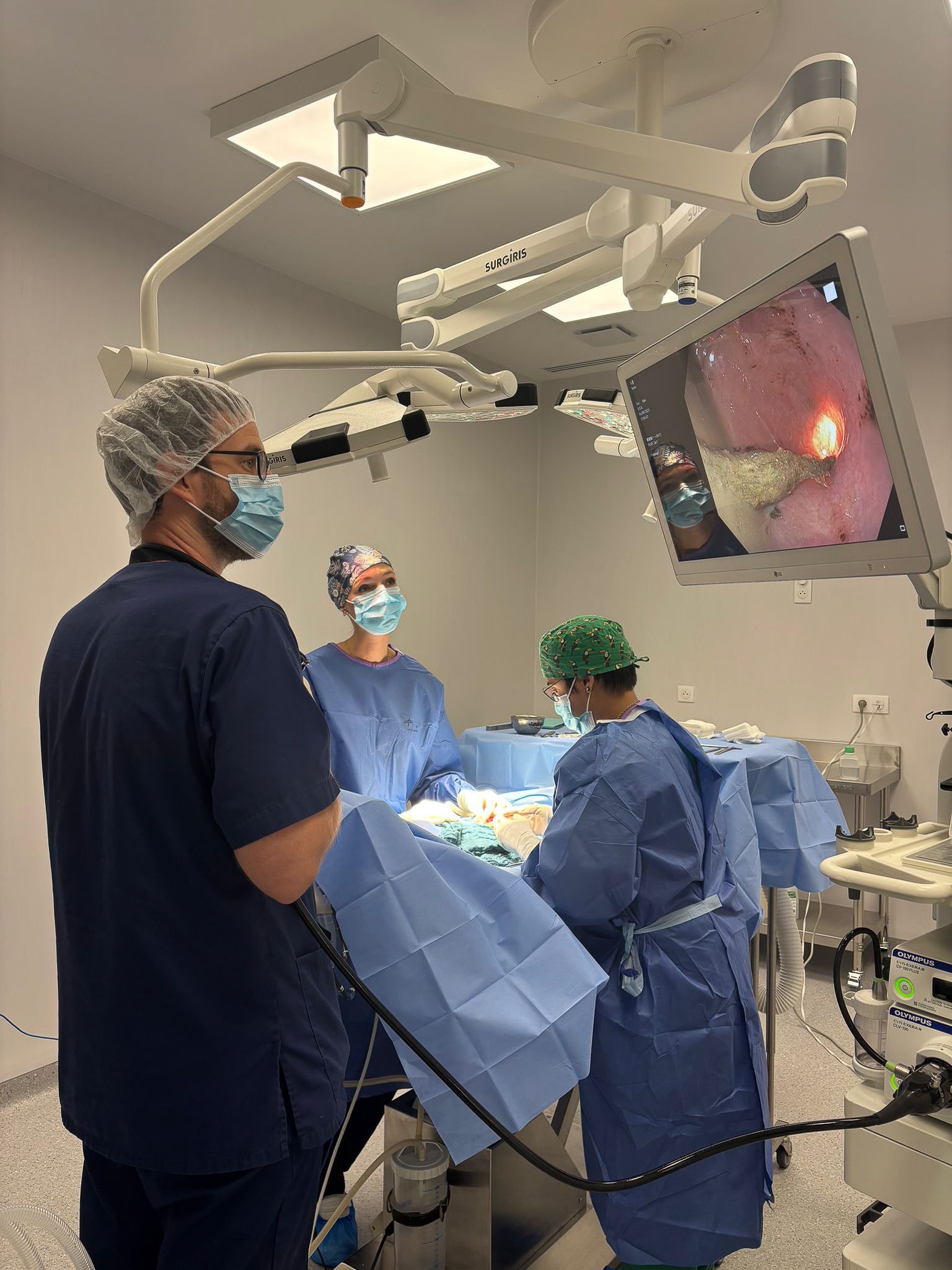 Endoscopie medecine veterinaire