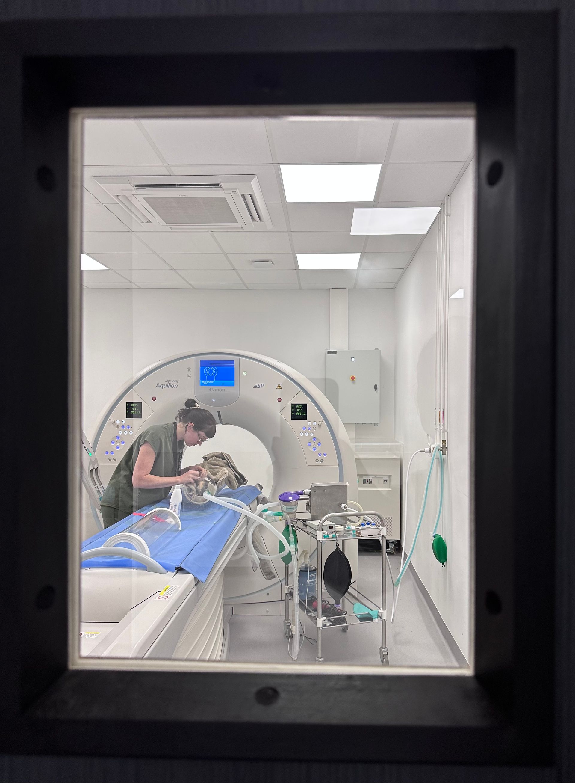 Un vétérinaire et son animal de compagnie dans une salle de scanner, l'animal allongé sur une table, l'équipement à proximité.