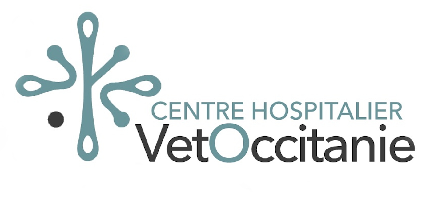Logo du Centre Hospitalier Veto Occitanie. Design abstrait turquoise et texte en gris et turquoise.