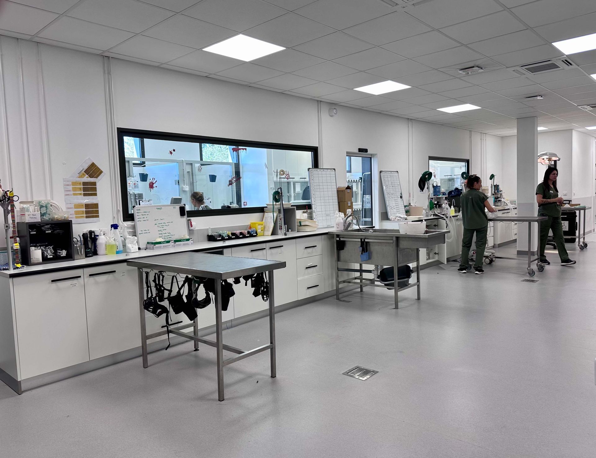 Intérieur d'une clinique vétérinaire avec postes de travail, tables en acier et deux personnes en blouse médicale.