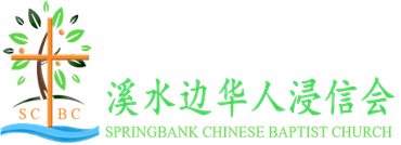 白色背景，上面有幾條線