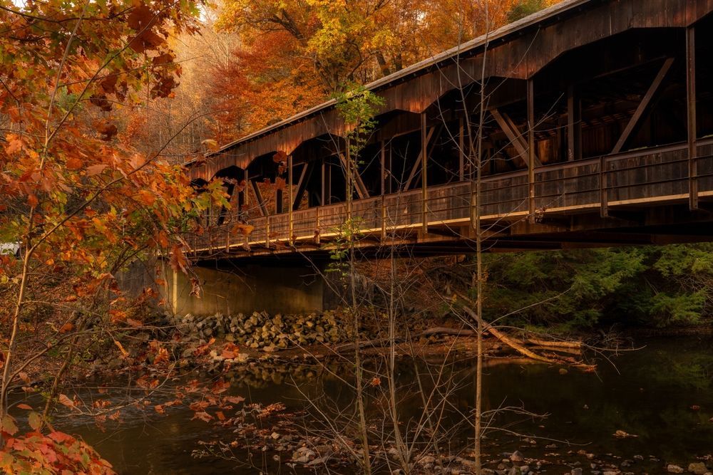 Covered wooden bridge over a creek, surrounded by colorful autumn foliage.