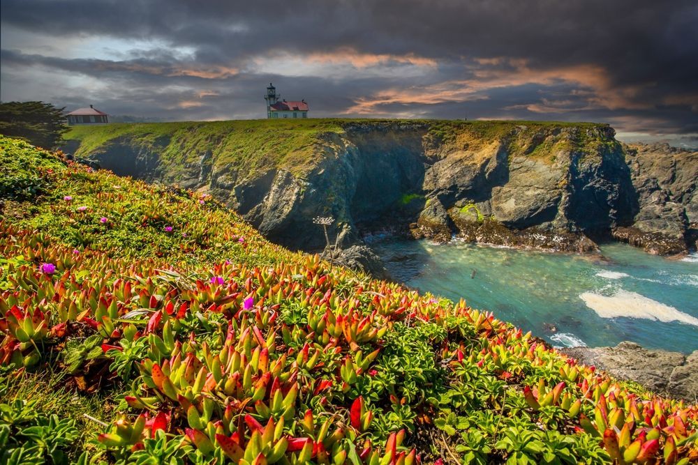 Lighthouse on a cliff overlooking the ocean, lush green and red plants in the foreground, stormy sky above.