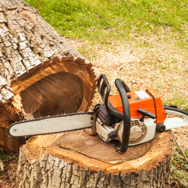 Photo of tree removal with chainsaw