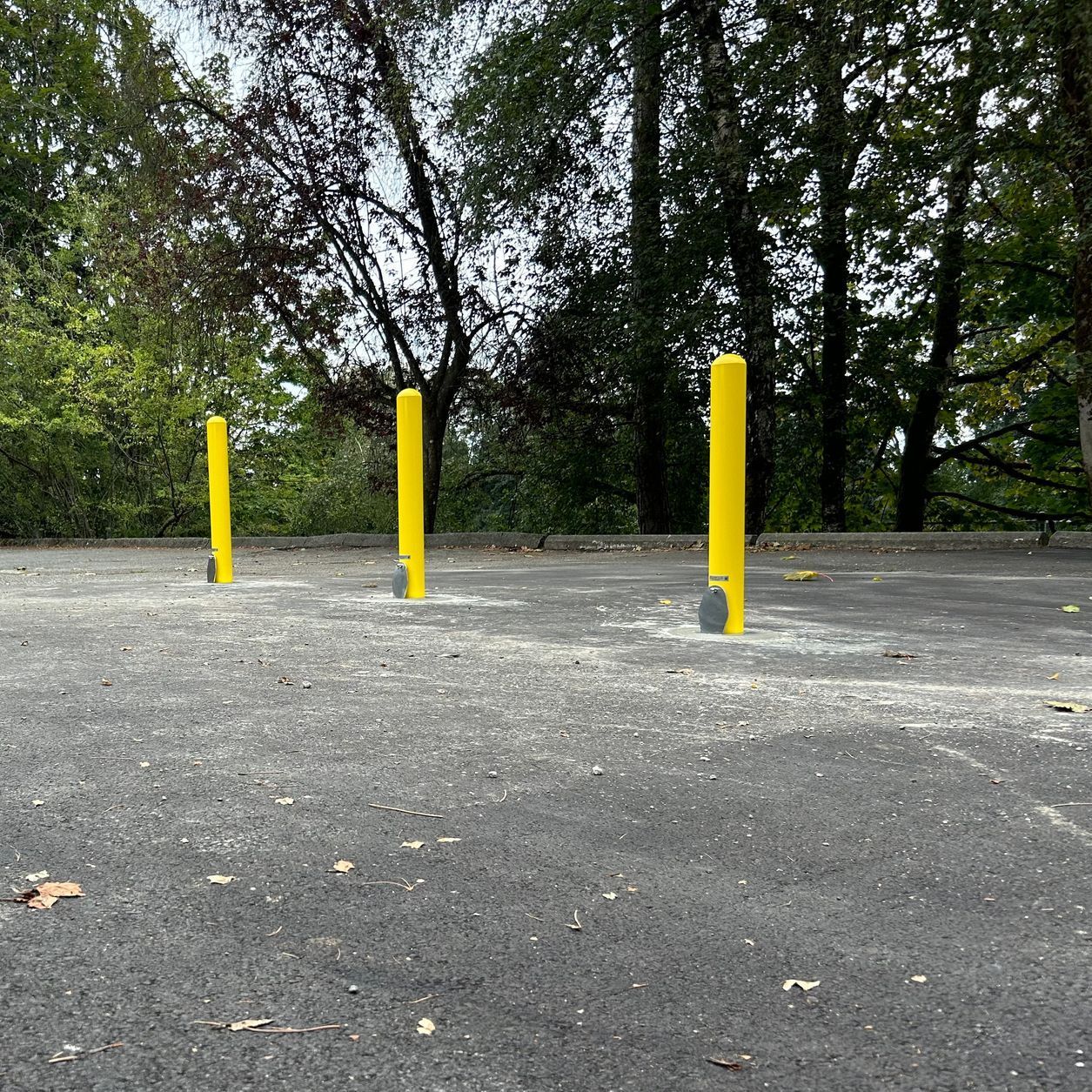 A row of yellow bollards in a parking lot with trees in the background.