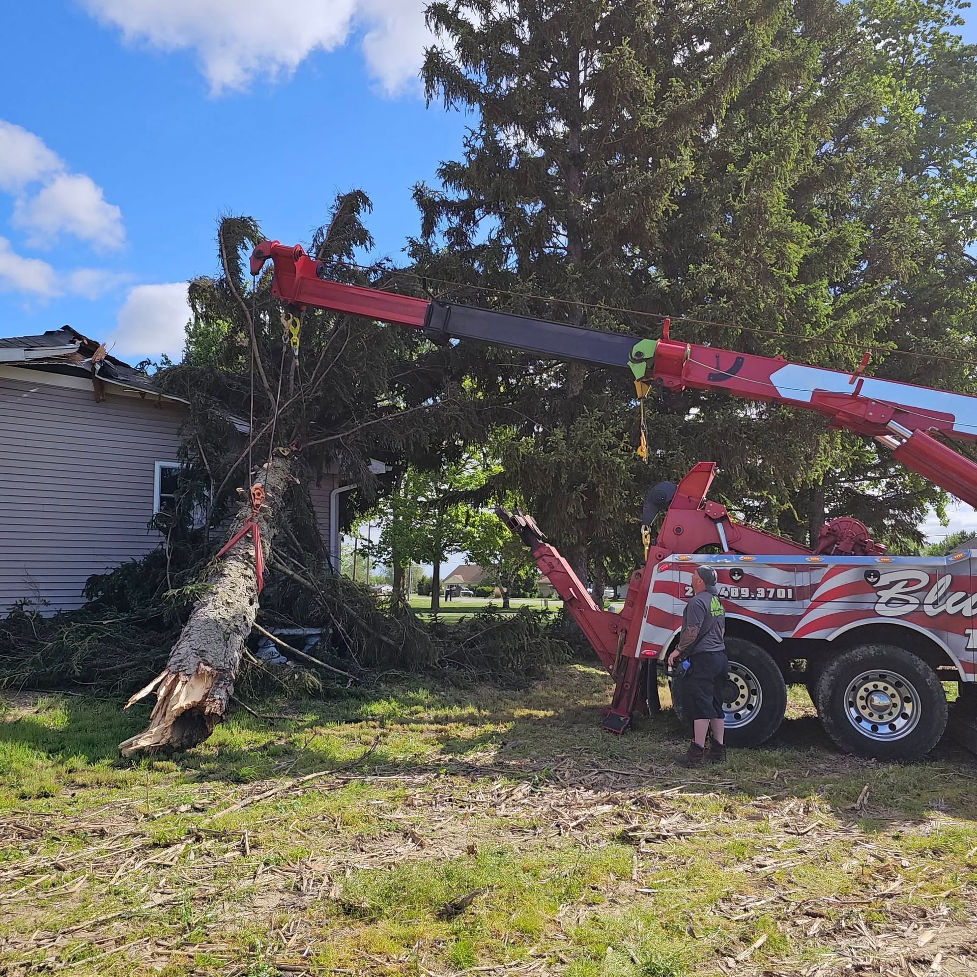 A large tree stump is being lifted by a tow truck.
