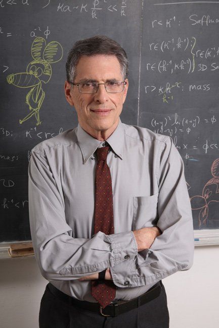 © כל הזכויות לתמונות באתר שייכות לדן פורגס צלם