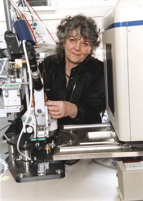 © כל הזכויות לתמונות באתר שייכות לדן פורגס צלם