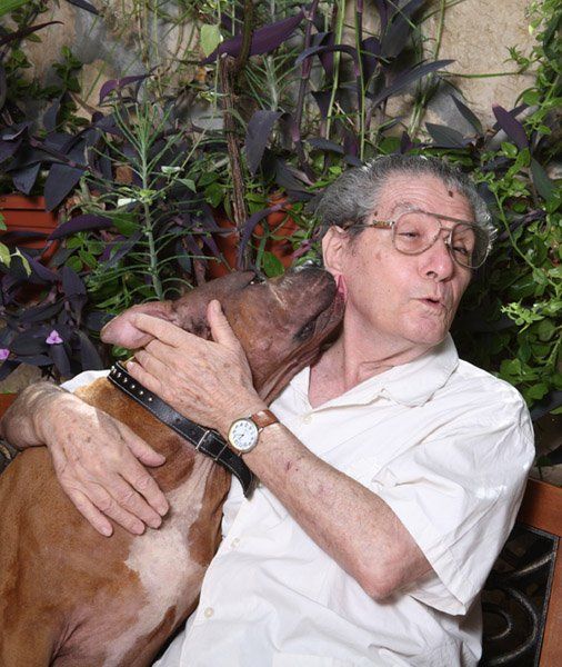 © כל הזכויות לתמונות באתר שייכות לדן פורגס צלם