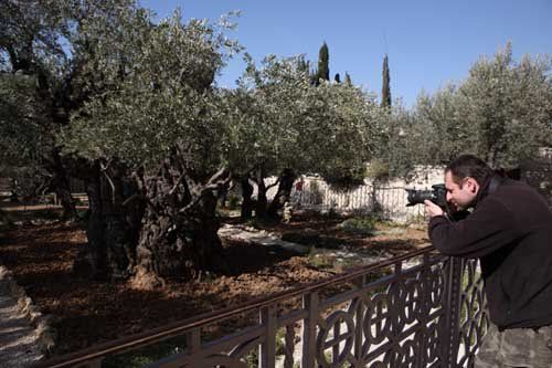 © כל הזכויות לתמונות באתר שייכות לדן פורגס צלם