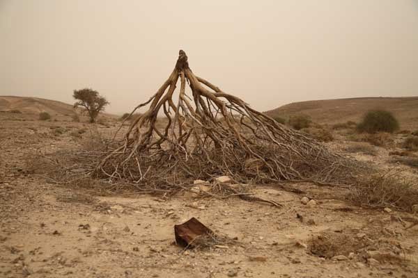 © כל הזכויות לתמונות באתר שייכות לדן פורגס צלם