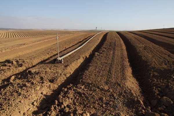 © כל הזכויות לתמונות באתר שייכות לדן פורגס צלם