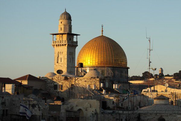 © כל הזכויות לתמונות באתר שייכות לדן פורגס צלם