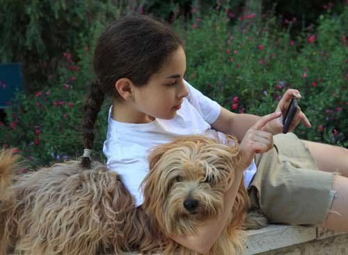 © כל הזכויות לתמונות באתר שייכות לדן פורגס צלם