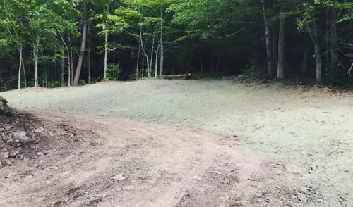 Dirt road leading to a cleared, seeded area in a forest with tall trees.