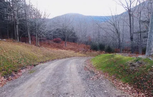 Gravel road curves through a landscape of leafless trees and grassy banks, leading towards a distant mountain.