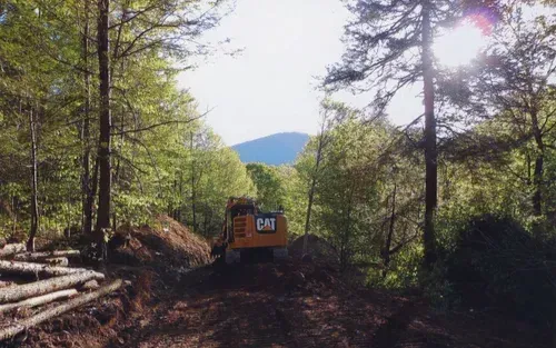 Excavator clearing a forest path, with logs and trees visible.