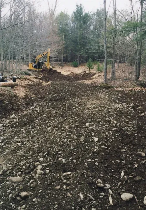 Excavator in a forest clearing, digging earth.