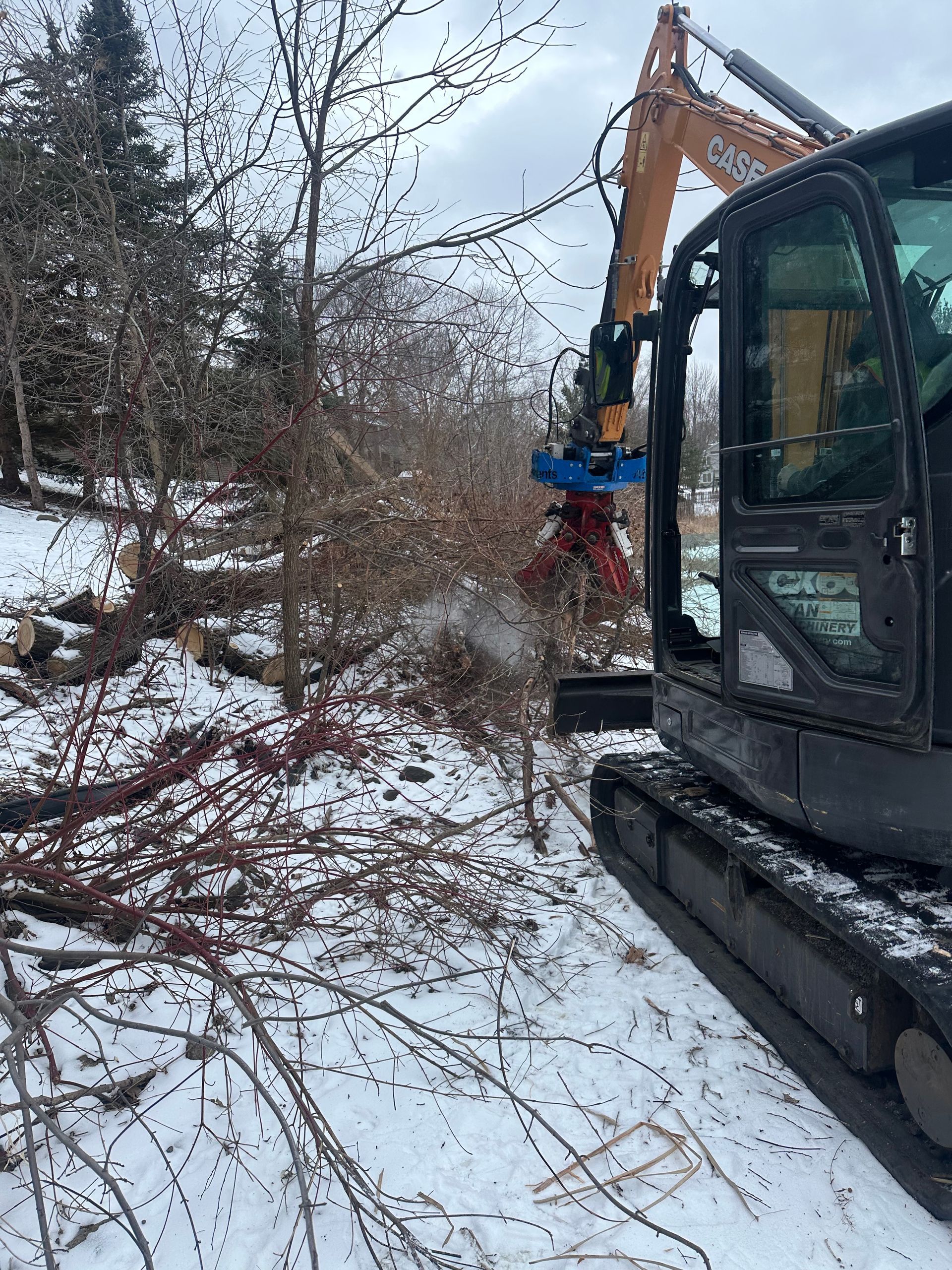 A large excavator is cutting down trees in the snow.