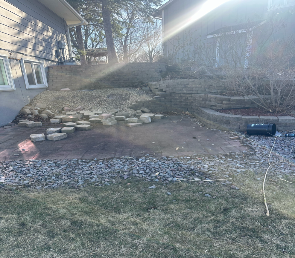 The sun is shining through the trees in the backyard