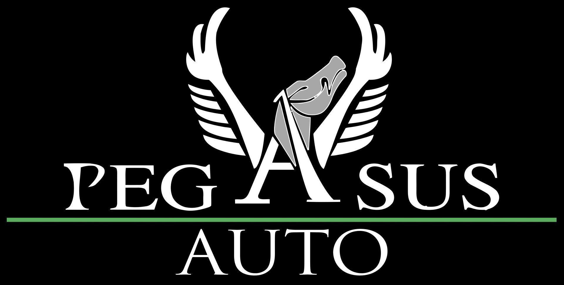 Pegasus Auto Vendita & Noleggio Logo