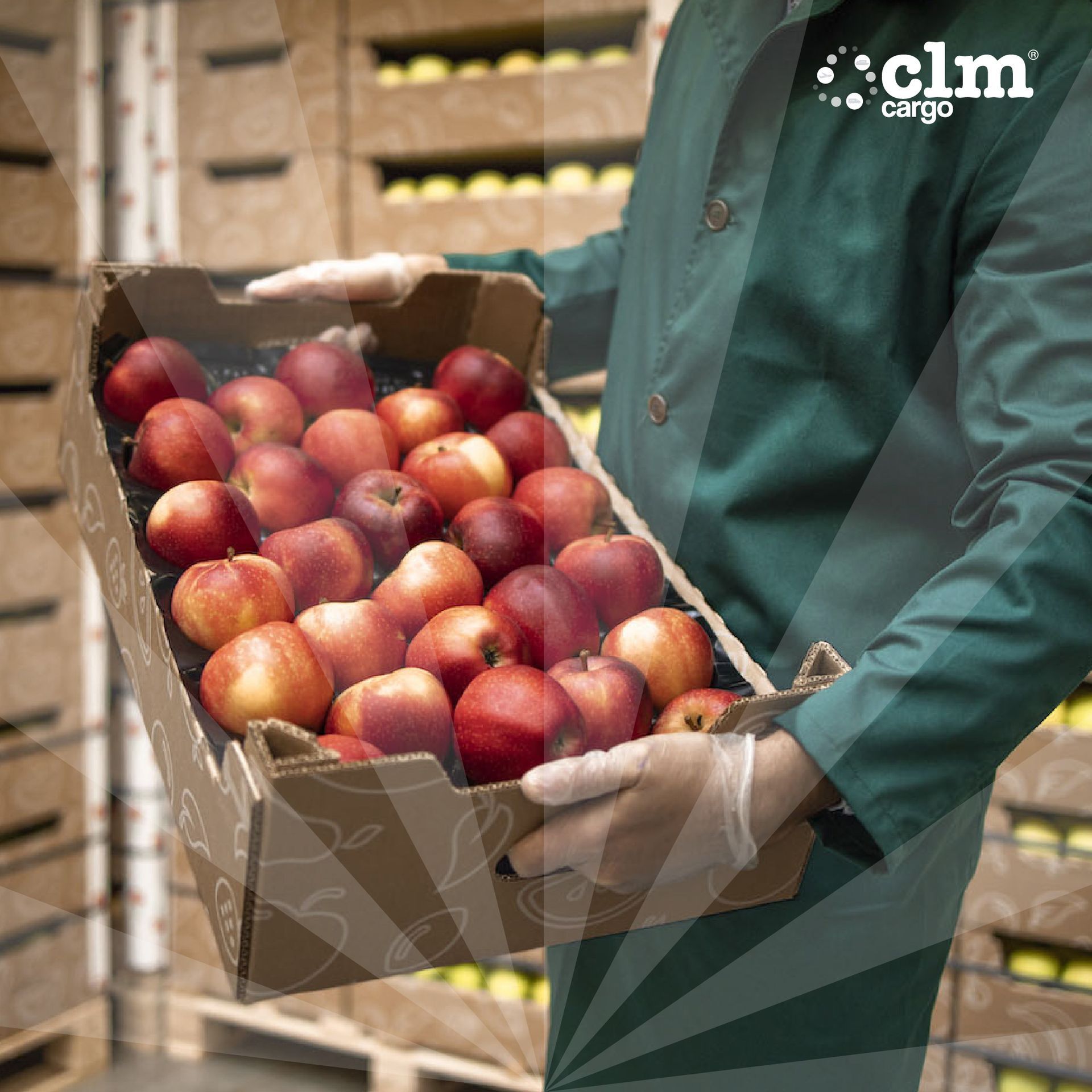 CLM Cargo Carga Perecedera