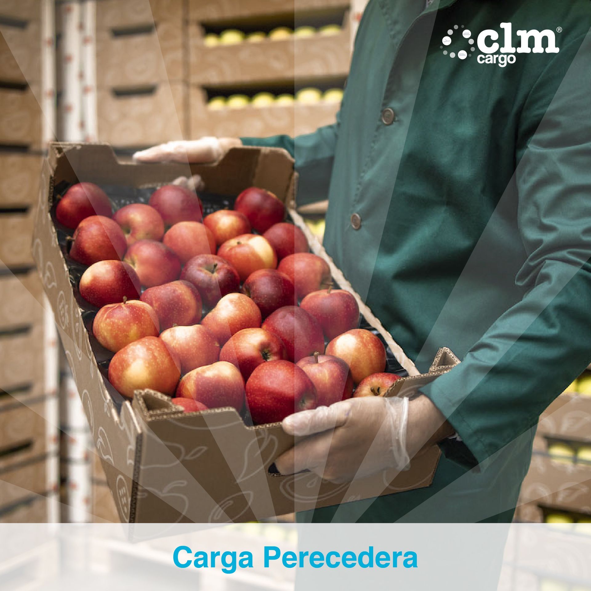 CLM Cargo Carga Perecedera
