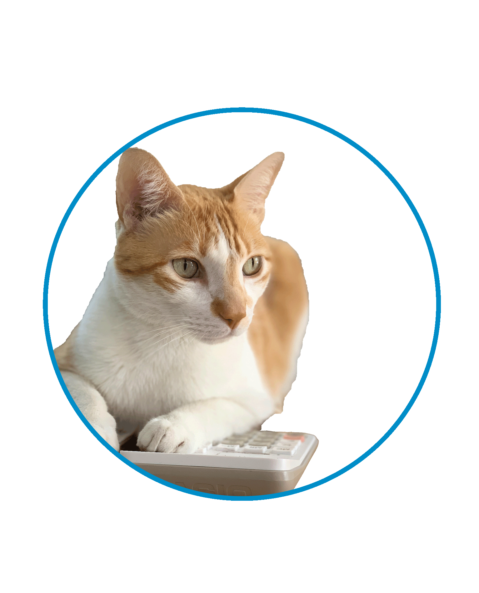 CLM Cargo Team Nacho