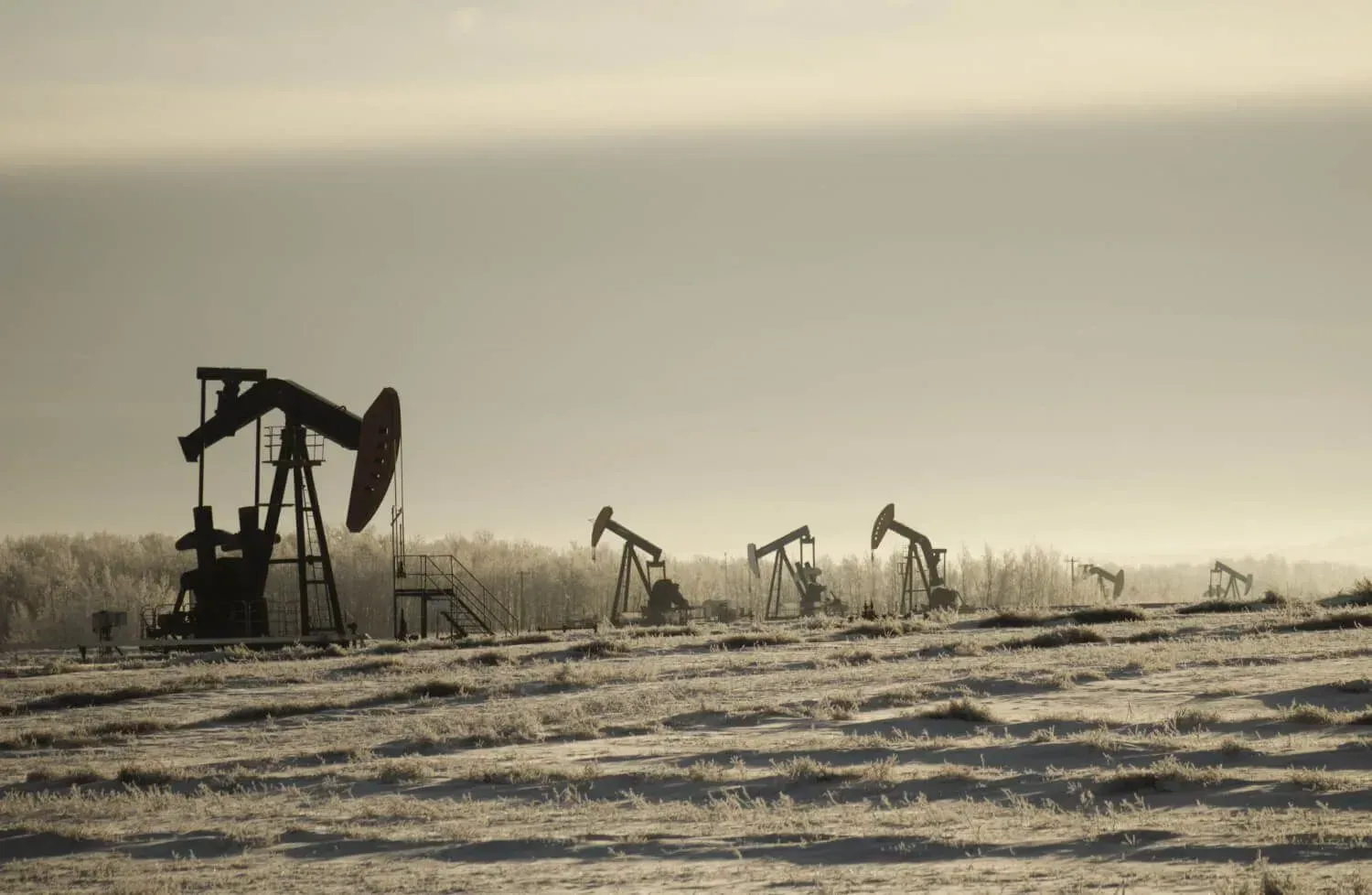 Colombian oil exporters