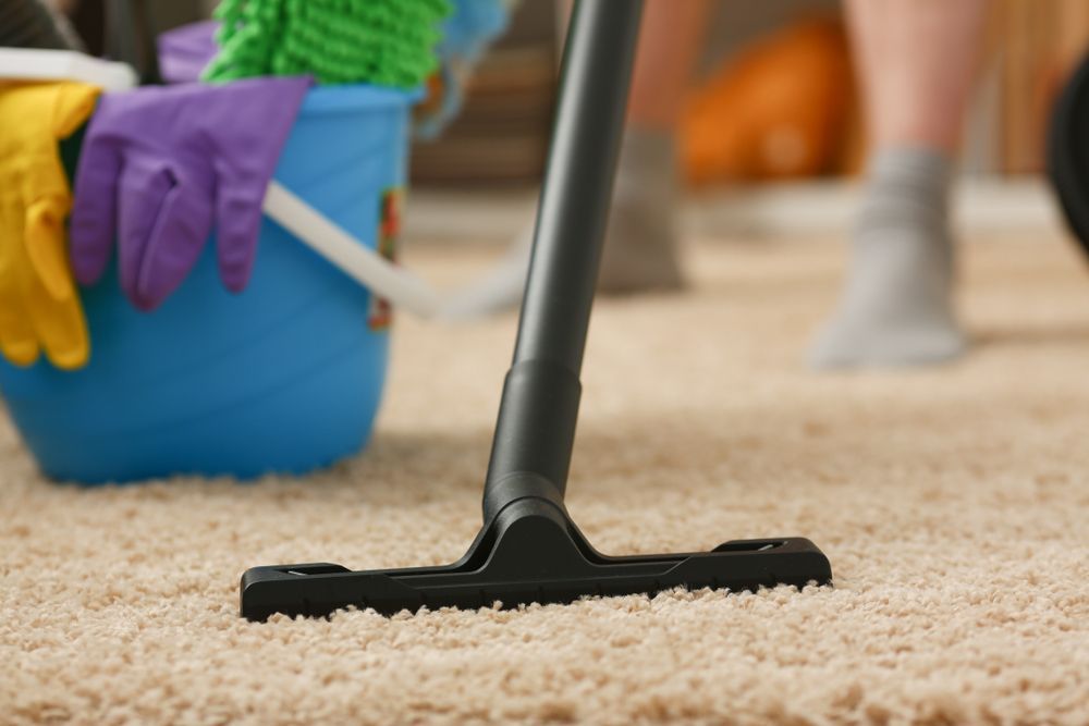Vacuum cleaner head on beige carpet near a blue bucket and gloved hand cleaning debris — A Plus Project Maintenance in Wodonga, VIC
