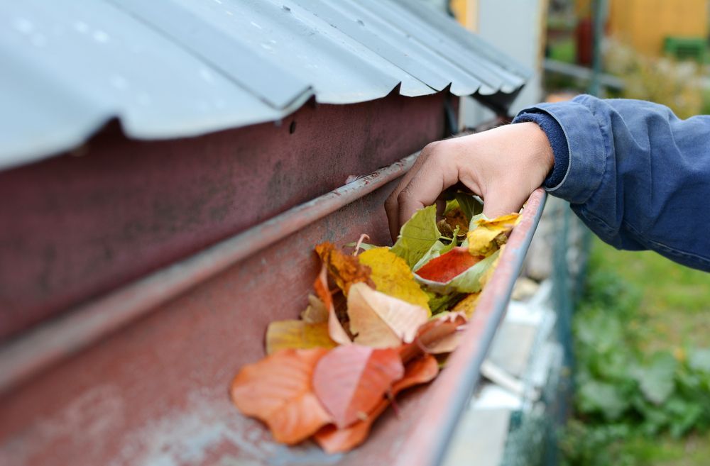 Hand collecting autumn leaves from a roof gutter beside a house — A Plus Project Maintenance in Wodonga, VIC