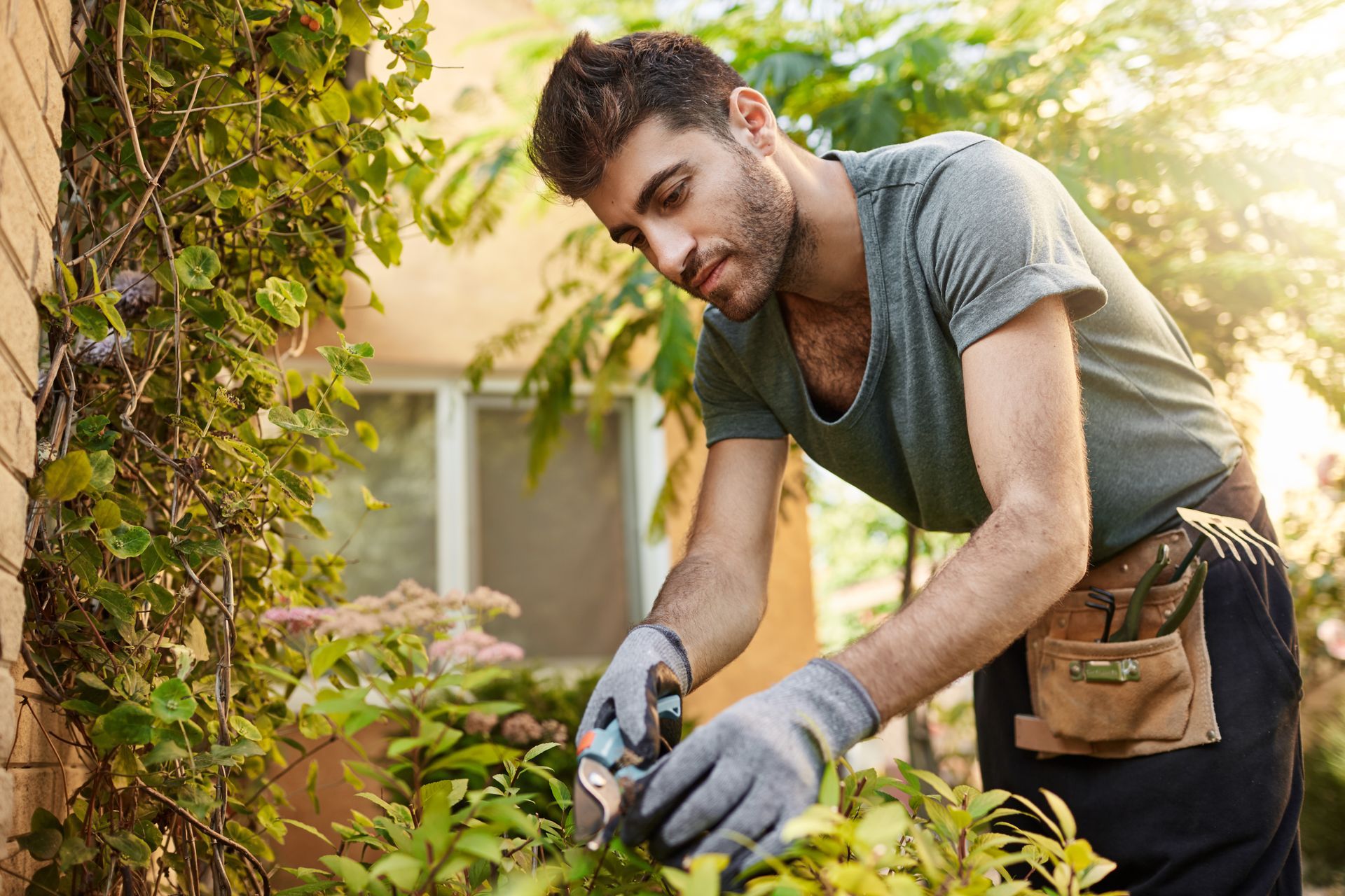 A man is cutting a plant with a pair of scissors in a garden.