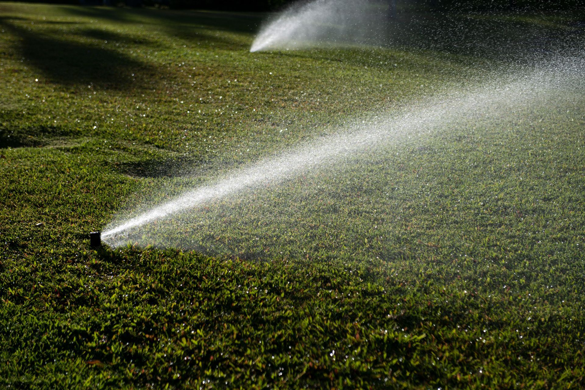 A sprinkler is spraying water on a lush green lawn.