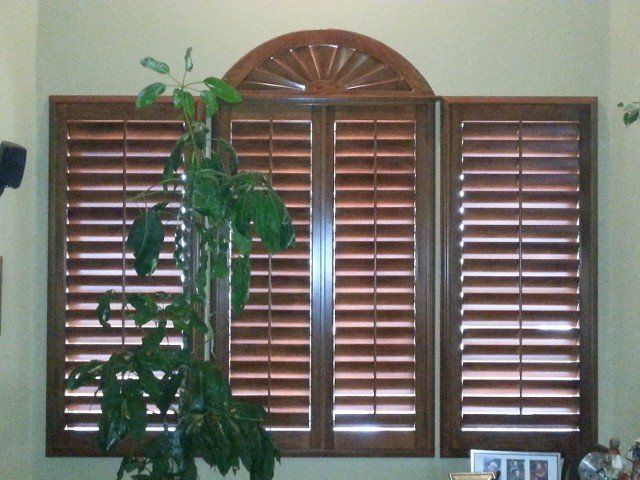 A window with arched wooden shutters and a plant in front of it
