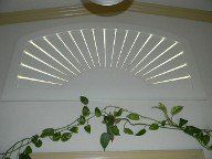 A ceiling fan is hanging from the ceiling next to a plant.