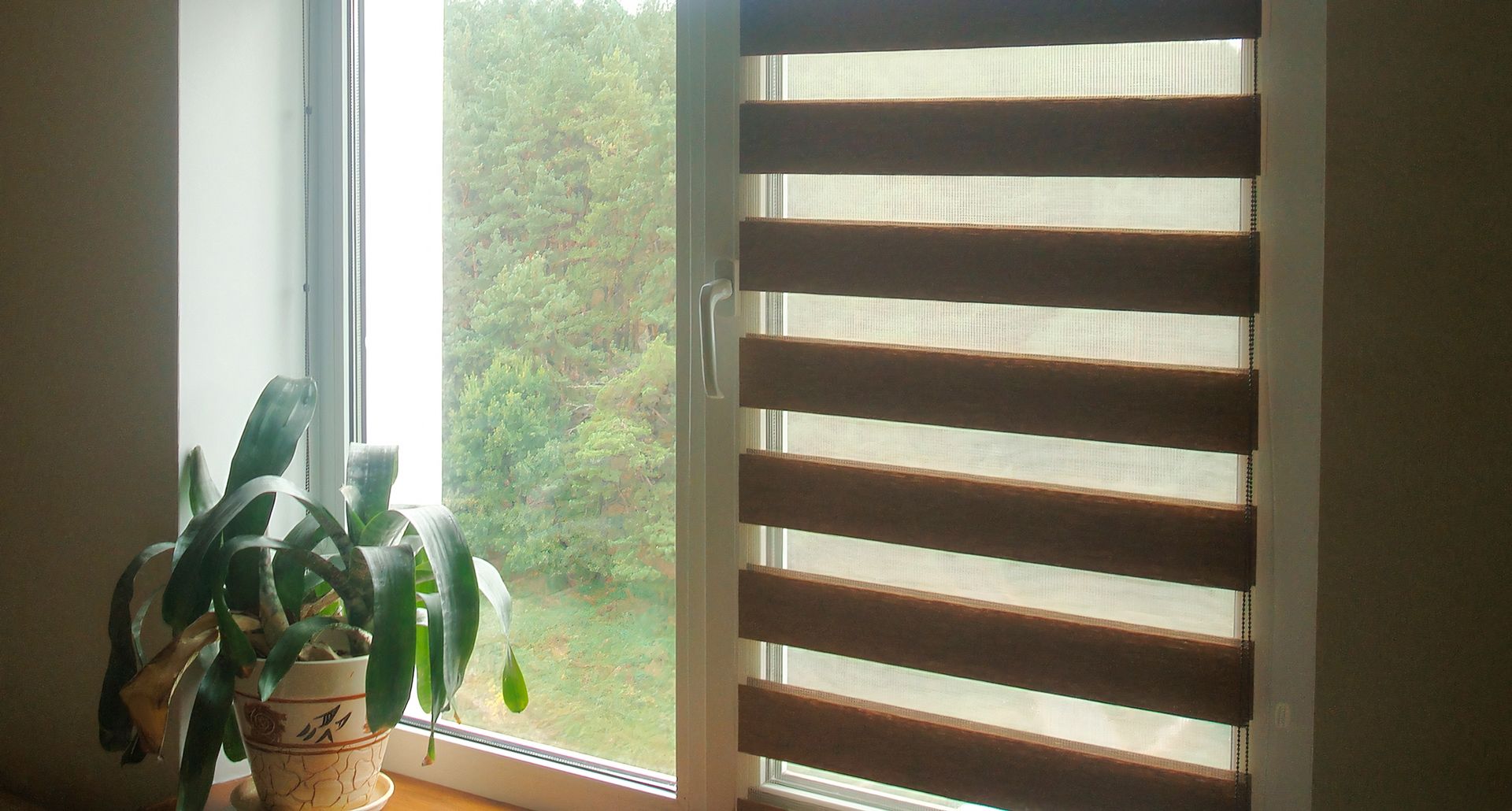 A plant is sitting on a window sill next to a window with blinds.