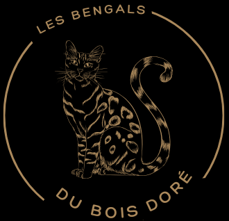 Un logo noir et or pour les bengals du bois dore