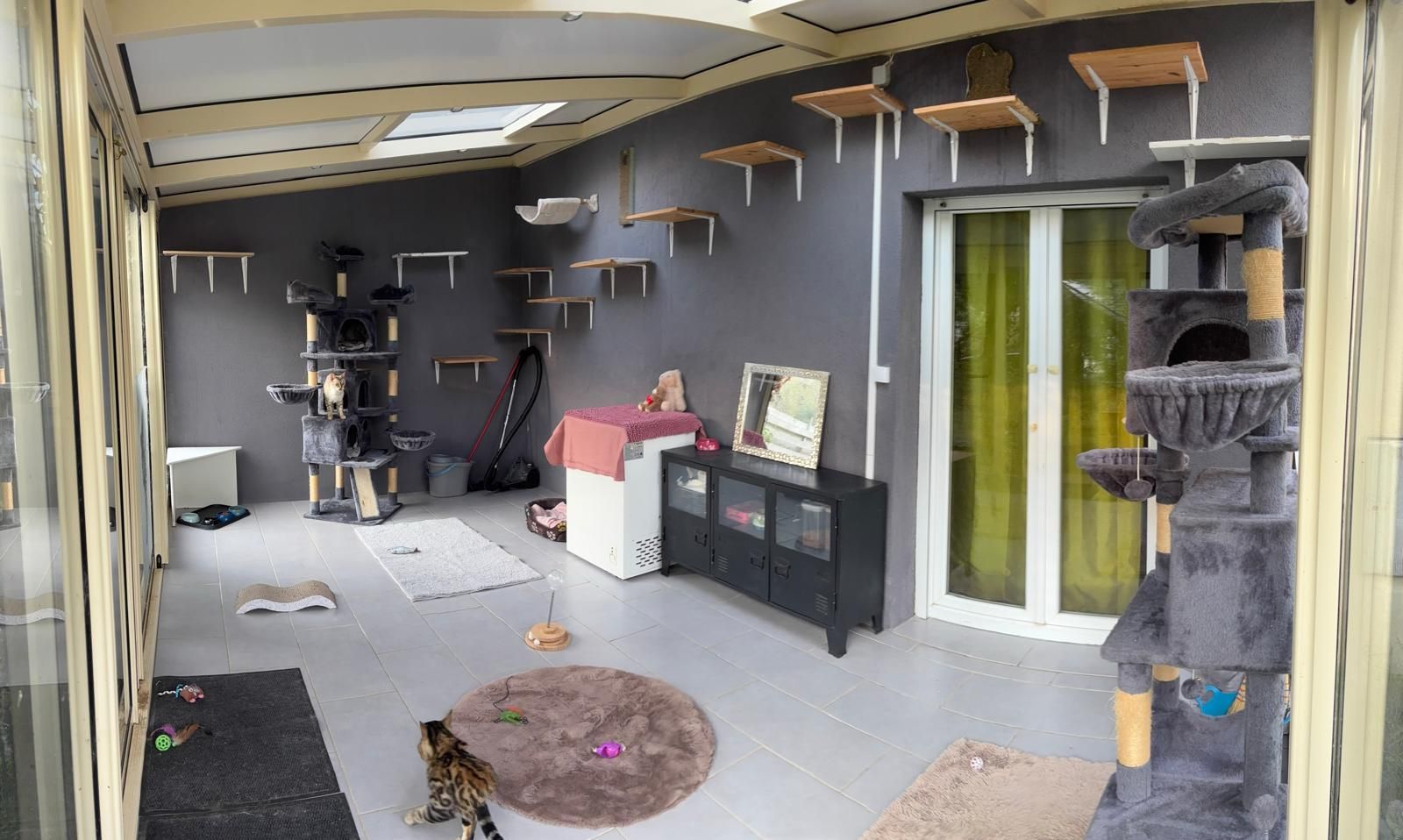 Une pièce pour chat avec structures d'escalade, étagères et jouets. Murs et sol gris ; chats invisibles.