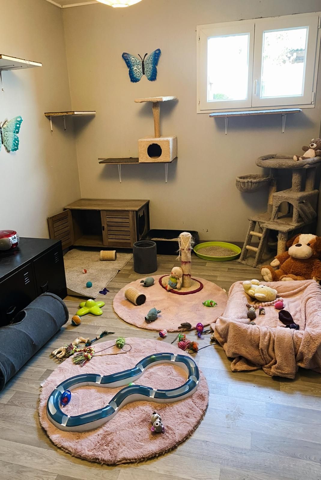 Une salle de jeux pour chats avec des structures d'escalade, des jouets et des tapis roses ; des autocollants de papillons bleus sur les murs.