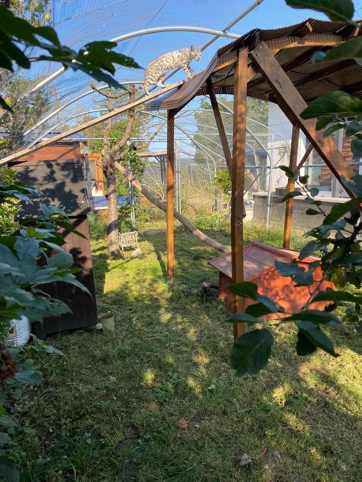 Un enclos avec des poteaux en bois, un toit et un filet ; on y voit un animal tacheté. Autour, il y a de l'herbe verte et du feuillage.