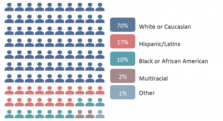 A graph showing the percentage of people of different races